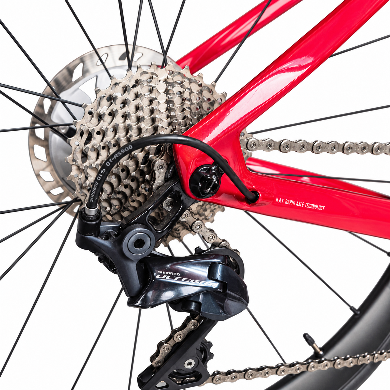 FOCUS IZALCO MAX - TALLA 50 - CARBONO