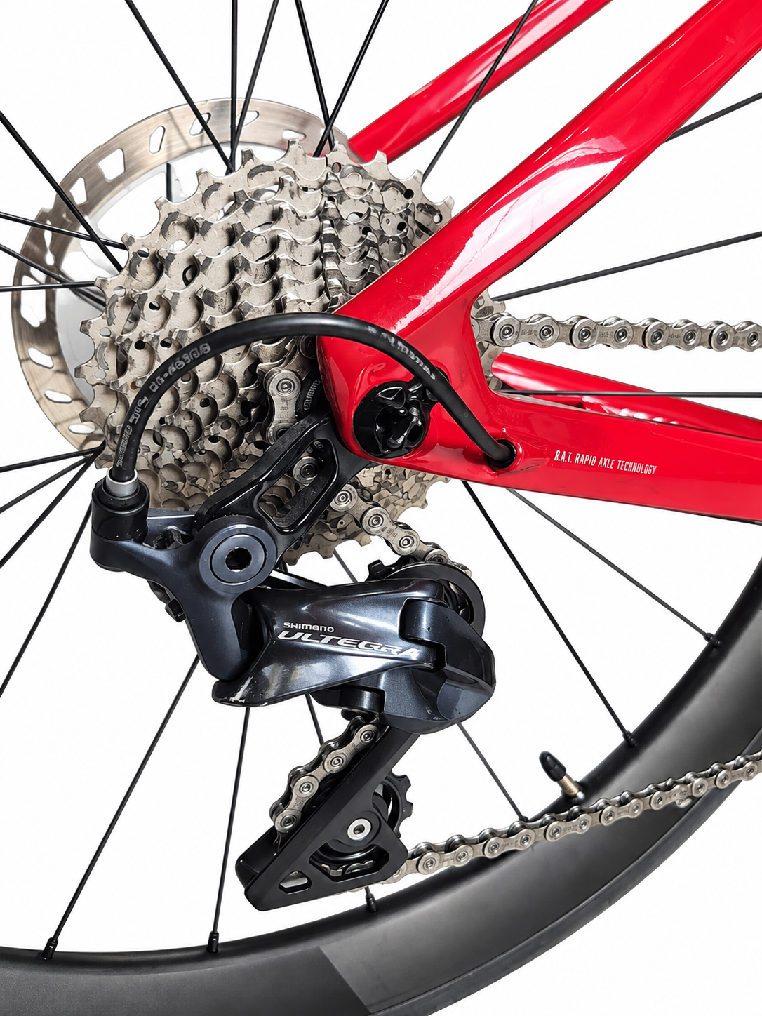 FOCUS IZALCO MAX - TALLA 50 - CARBONO