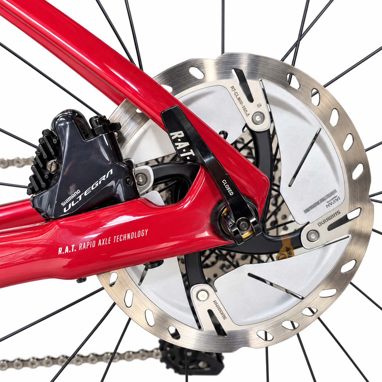 FOCUS IZALCO MAX - TALLA 50 - CARBONO